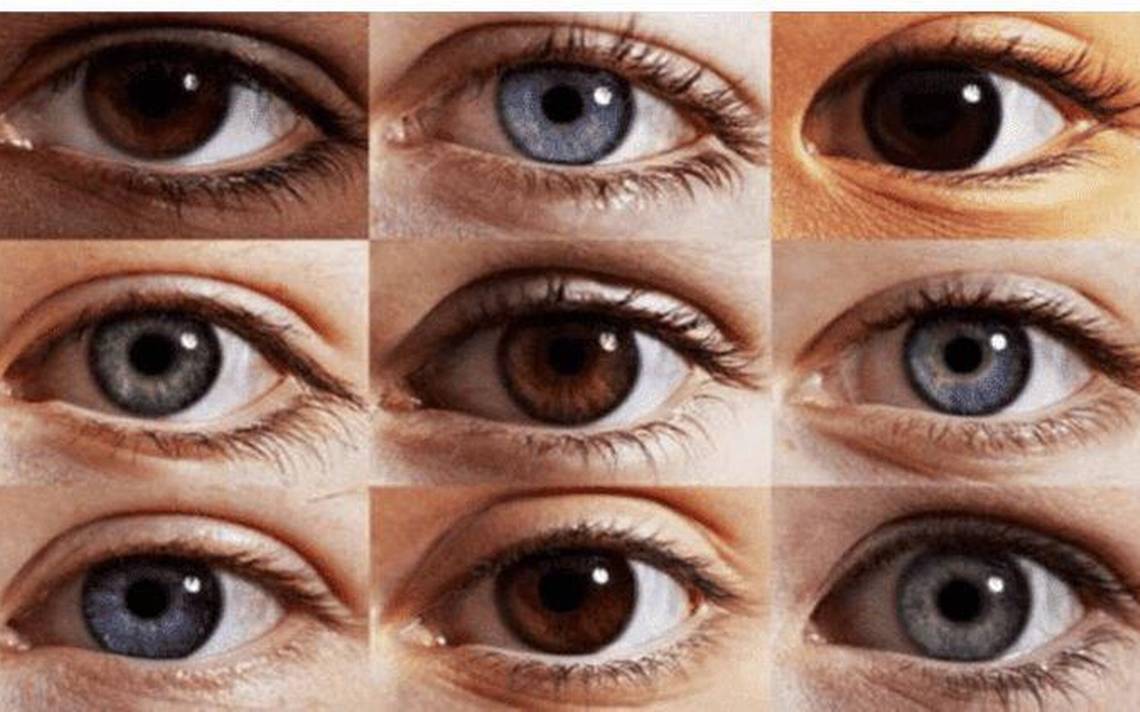 ¿Qué tipo de ojo es el más comun